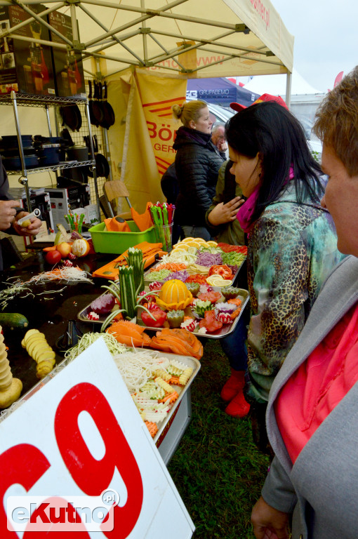 Firmy z regionu na AGRO SHOW 2017
