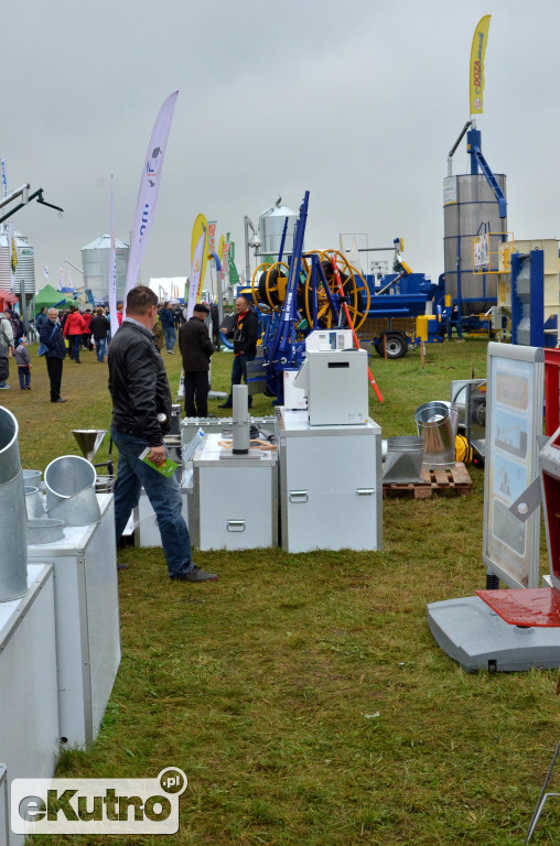 Firmy z regionu na AGRO SHOW 2017