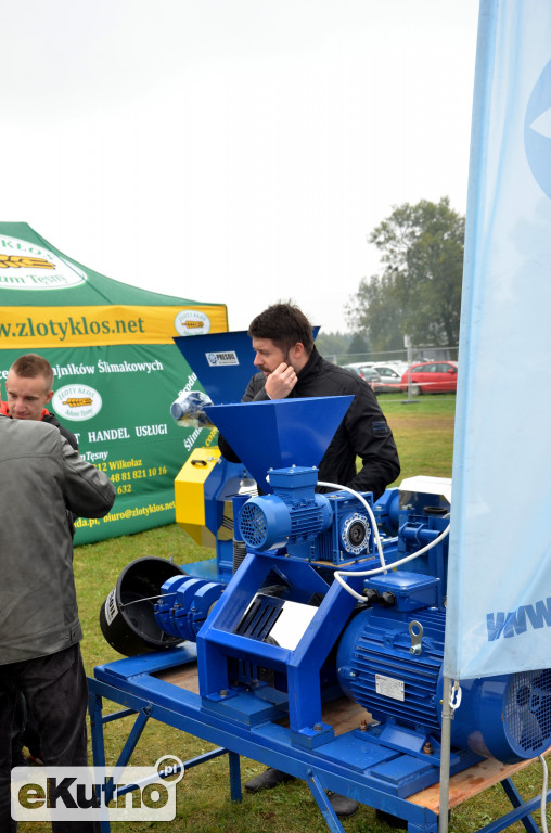 Firmy z regionu na AGRO SHOW 2017