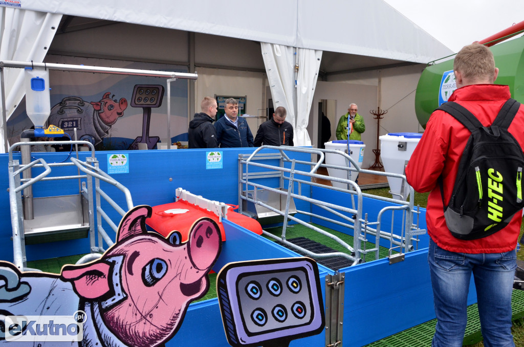 Firmy z regionu na AGRO SHOW 2017