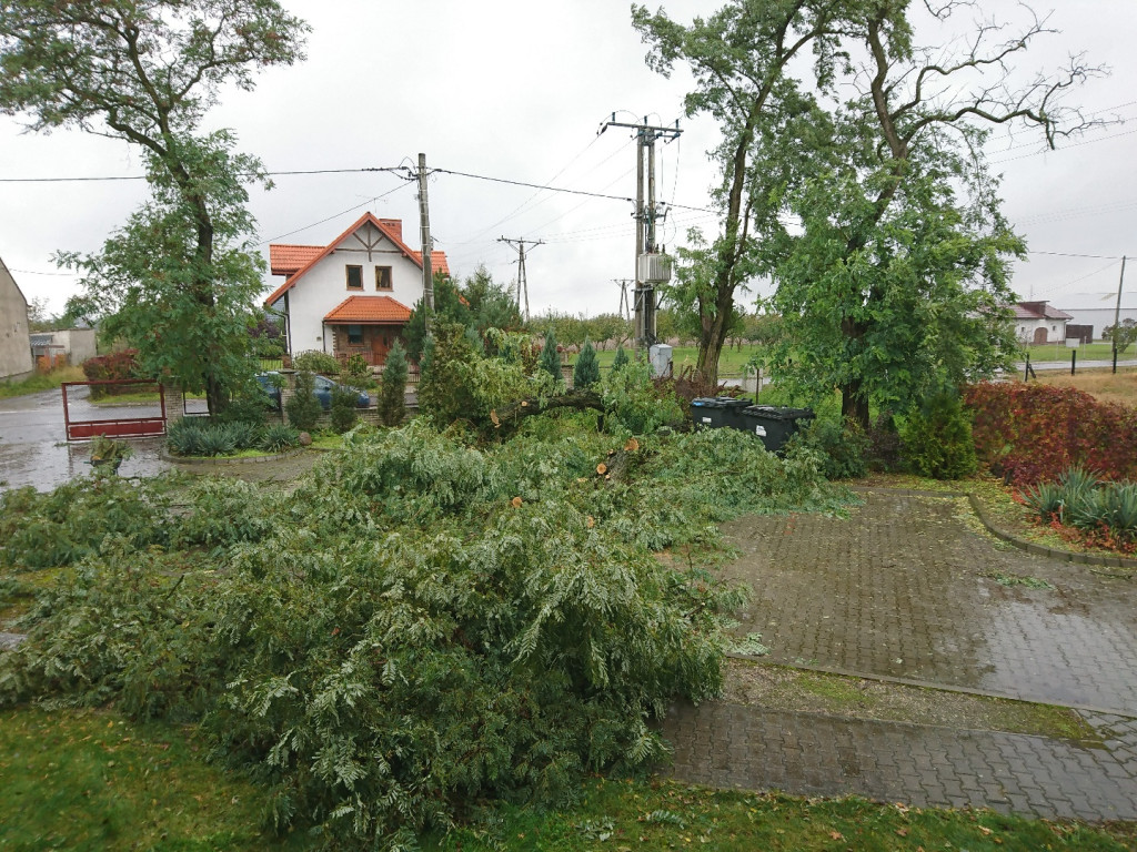 Ksawery szalał w powiecie kutnowskim