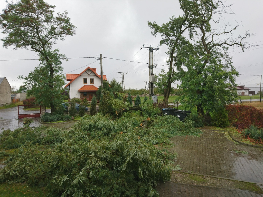 Ksawery szalał w powiecie kutnowskim