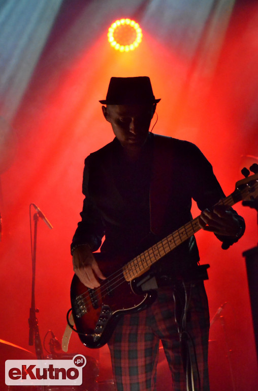 Koncert Pawła Domagały w Kutnie