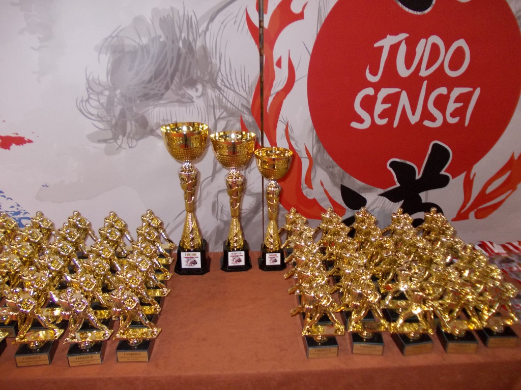 Nasi judocy na matach w Płocku