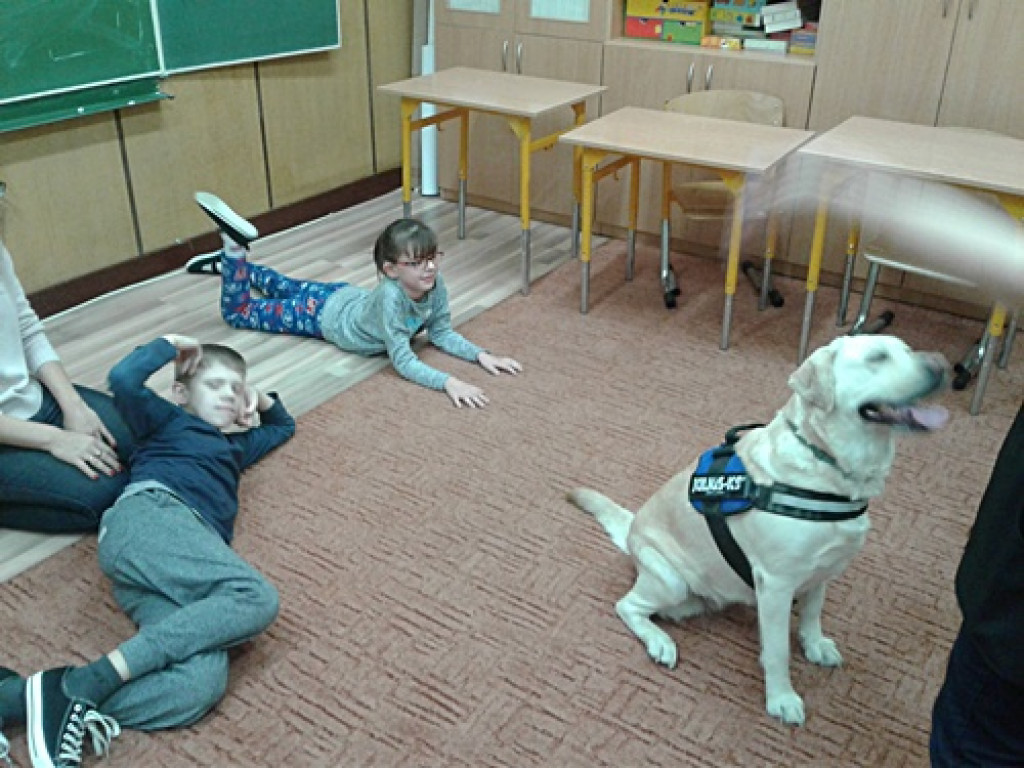 Spotkanie z Polą, psem terapeutą