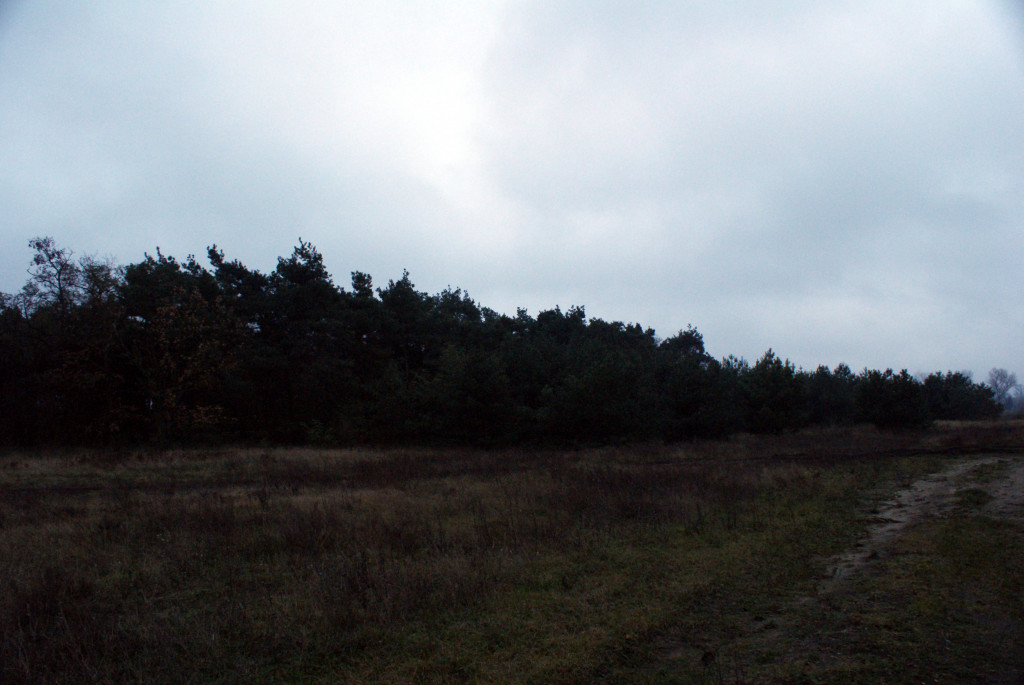 Hospicjum Kutnowskie w budowie