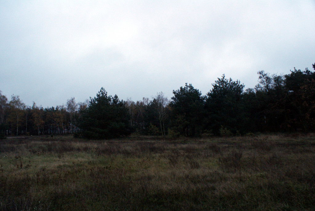 Hospicjum Kutnowskie w budowie