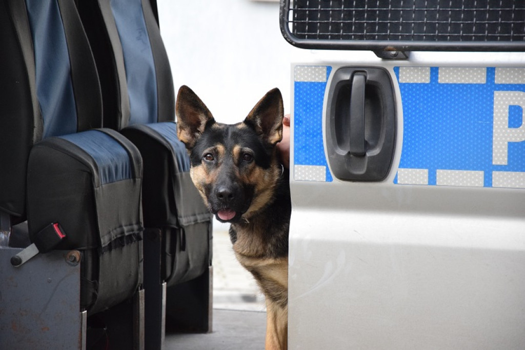 Dni otwarte na komendzie Policji