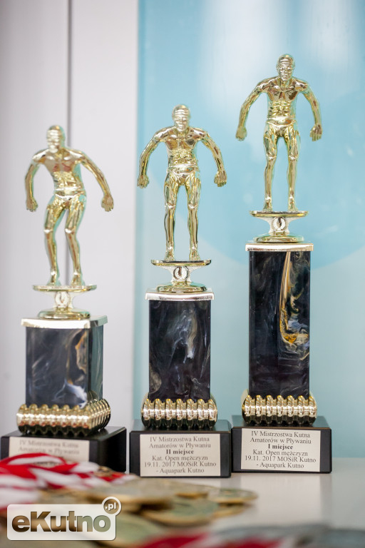 IV Mistrzostwa Kutna Amatorów w Pływaniu