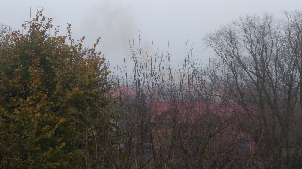 Smog ma się dobrze w Kutnie