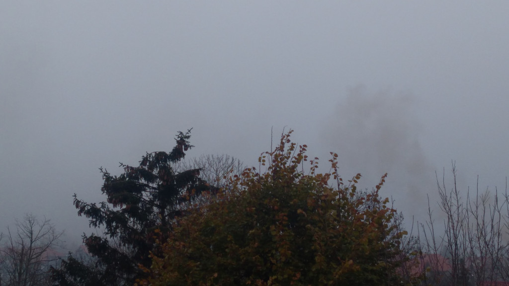 Smog ma się dobrze w Kutnie