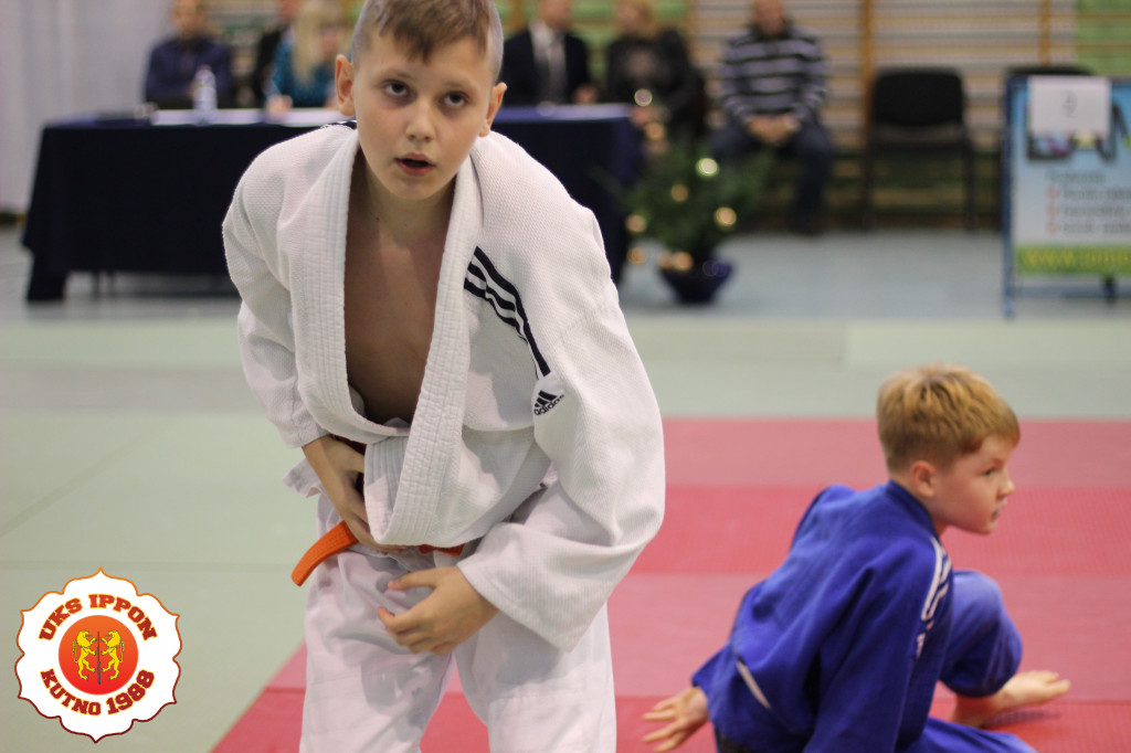 Judocy z medalami w Sochaczewie