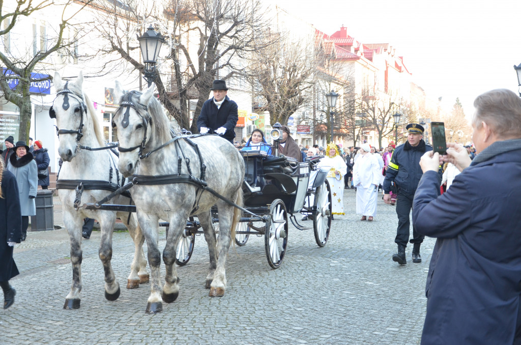 Największe Jasełka w Kutnie