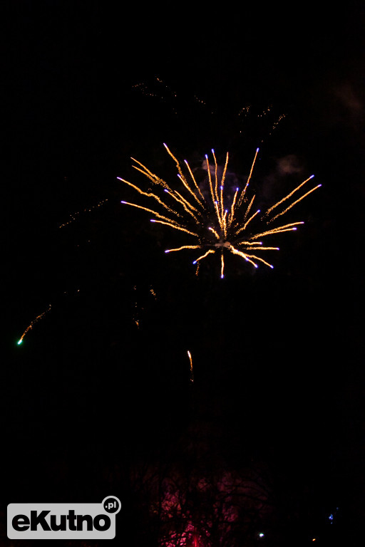 Cezar na WOŚP w Kutnie