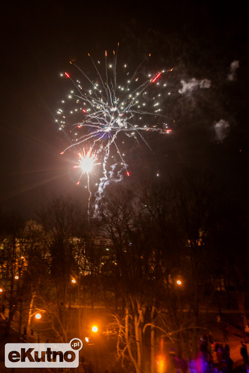 Cezar na WOŚP w Kutnie