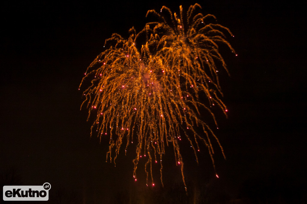 Cezar na WOŚP w Kutnie