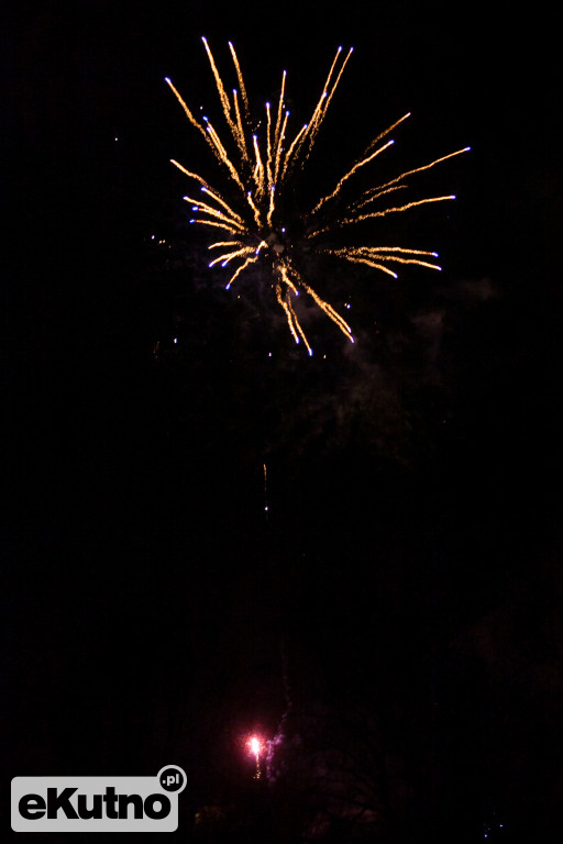 Cezar na WOŚP w Kutnie