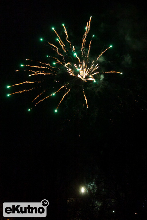 Cezar na WOŚP w Kutnie