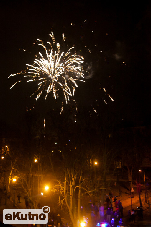 Cezar na WOŚP w Kutnie