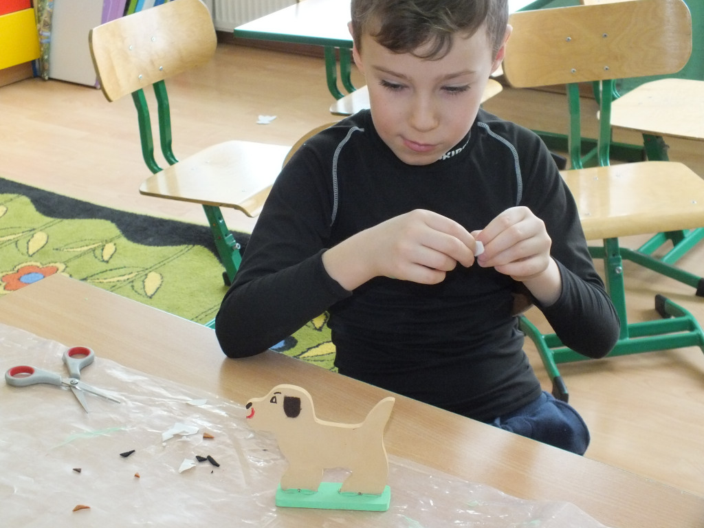 Kolorowy świat zwierząt