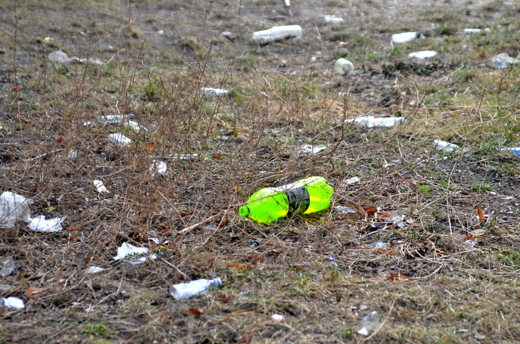 Sobotni spacer pełen niespodzianek