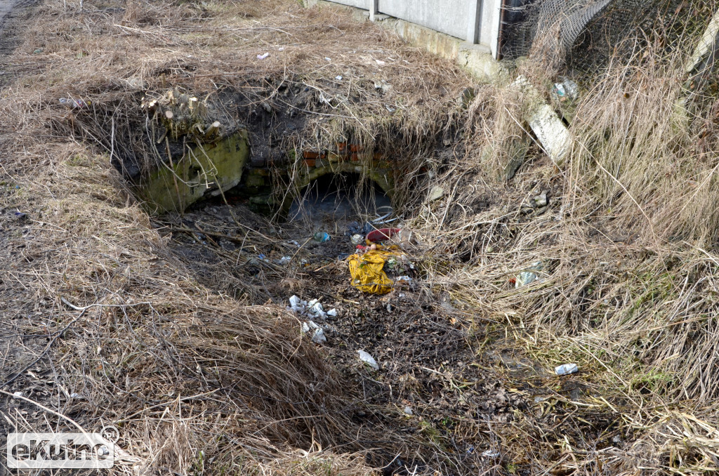 Nasza Ochnia i okolice