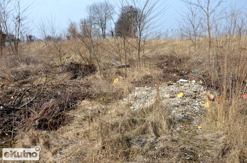 Nasza Ochnia i okolice