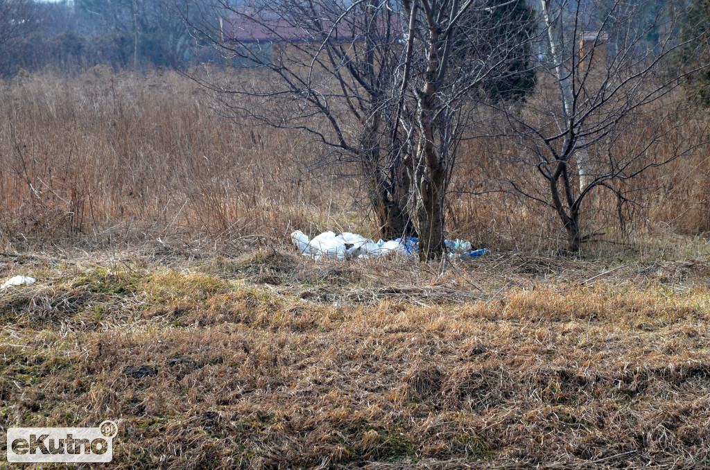 Nasza Ochnia i okolice