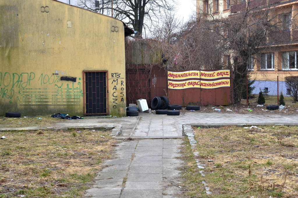 Brzózki i butelki