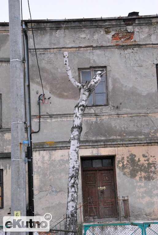 Brzózki i butelki
