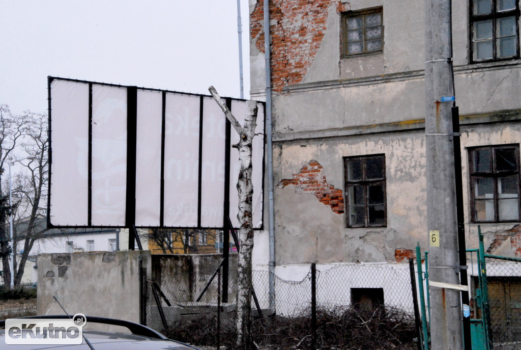 Brzózki i butelki