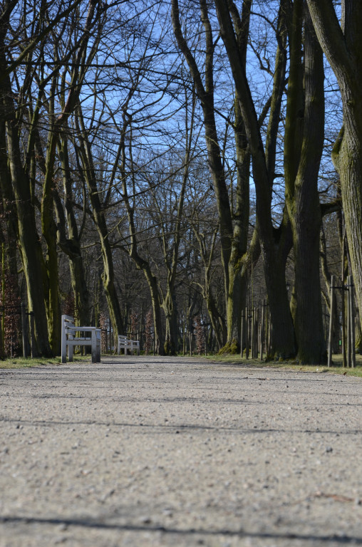 Czekamy na wiosnę w parku
