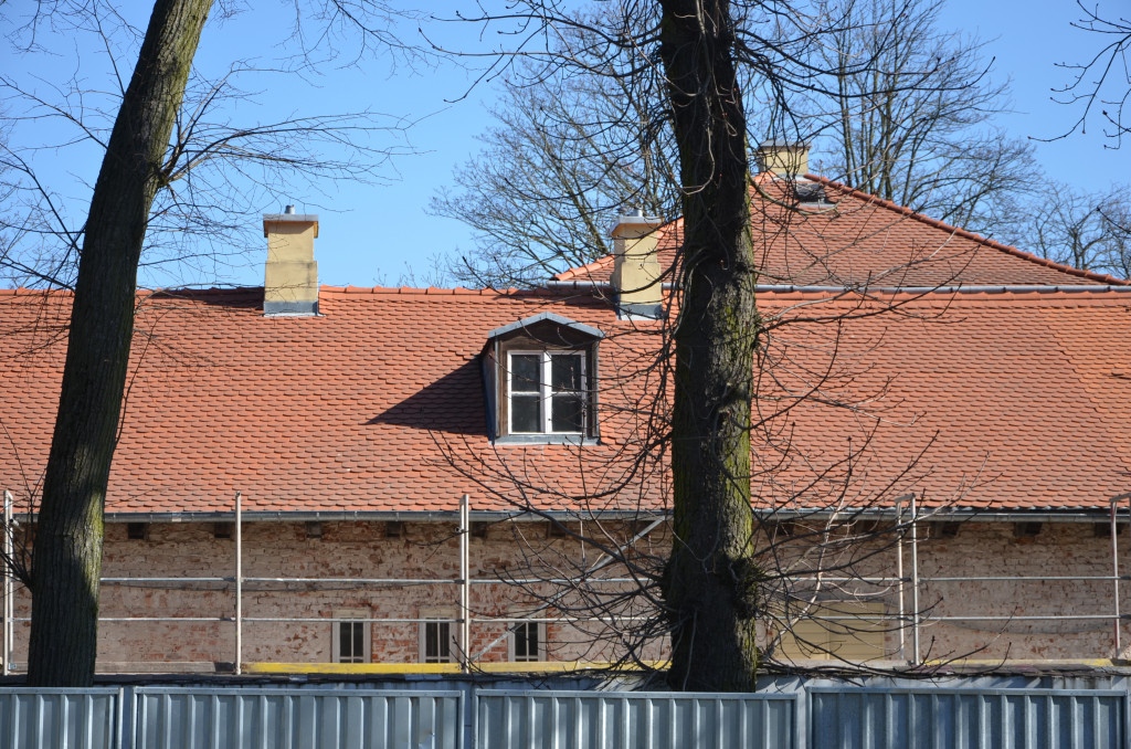 Czekamy na wiosnę w parku