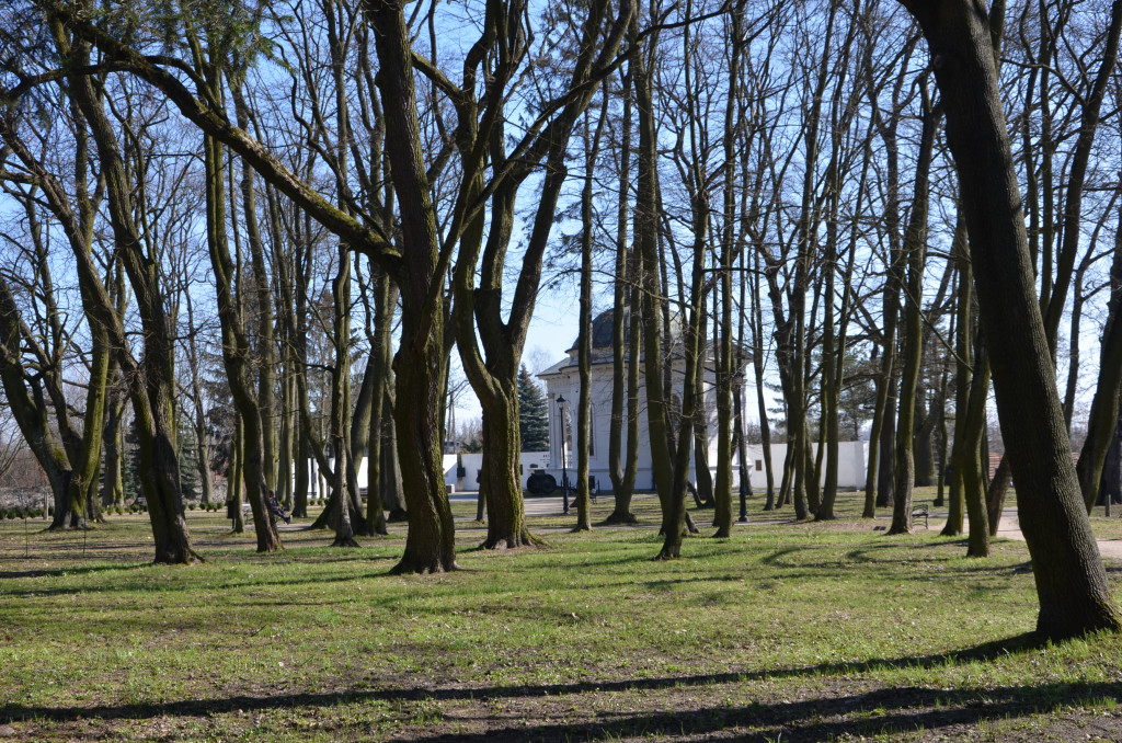 Czekamy na wiosnę w parku