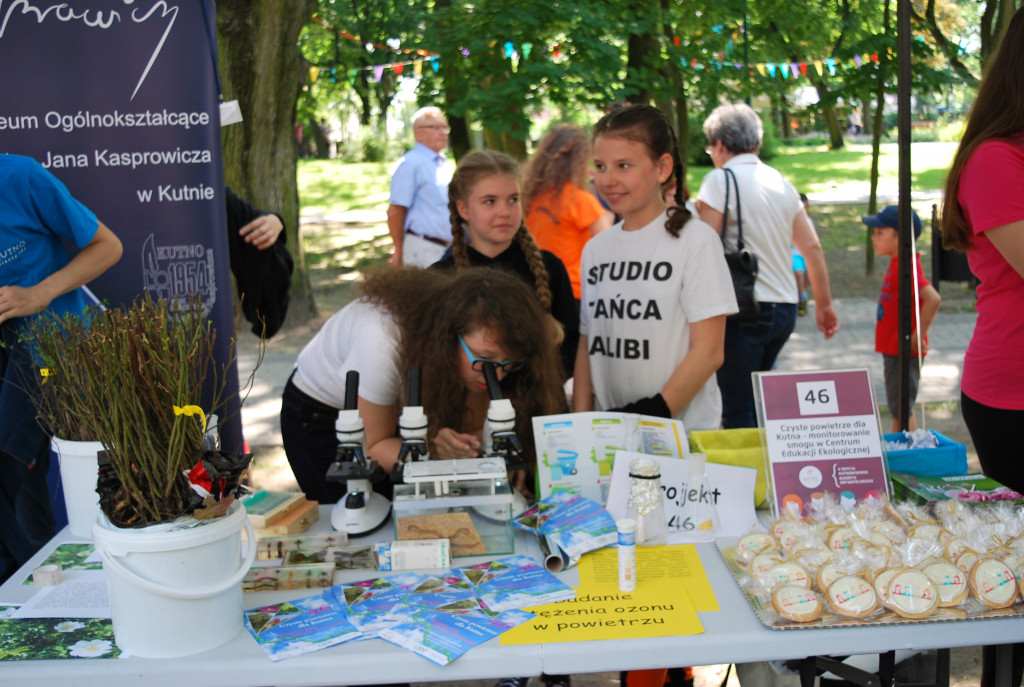 Festiwal projektów KBO
