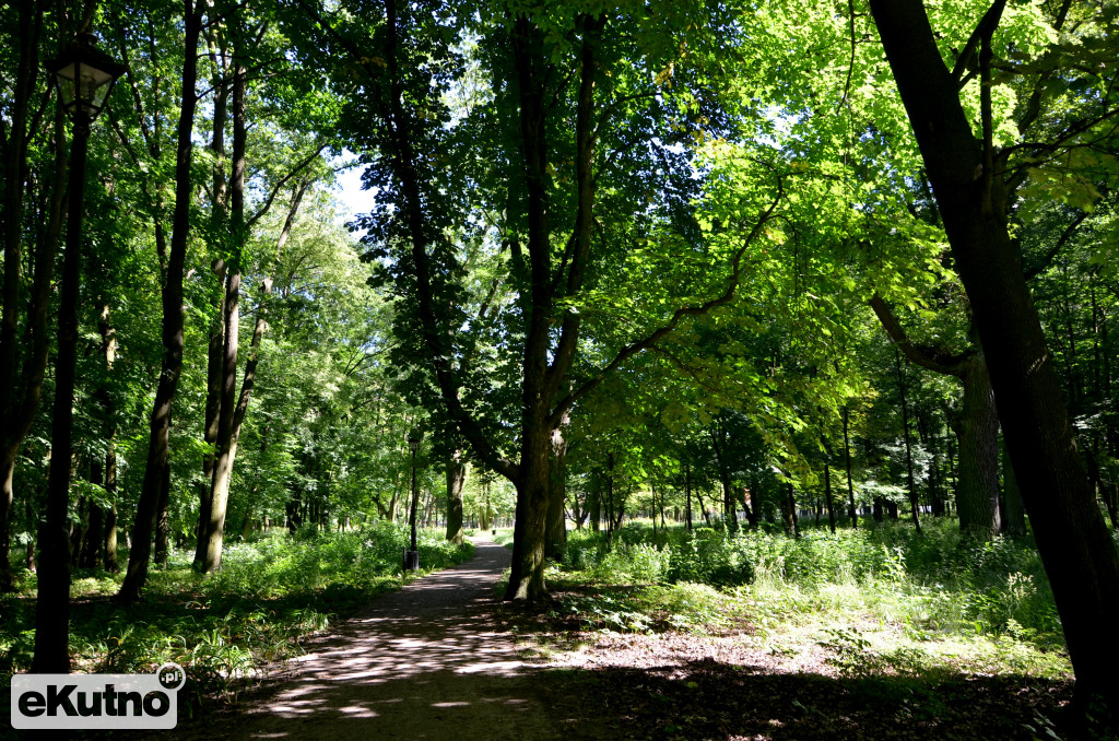 Porządki w Parku ?