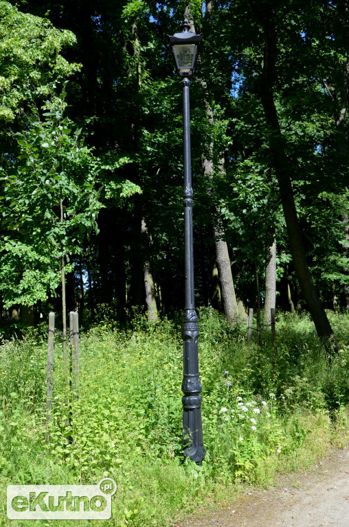 Porządki w Parku ?