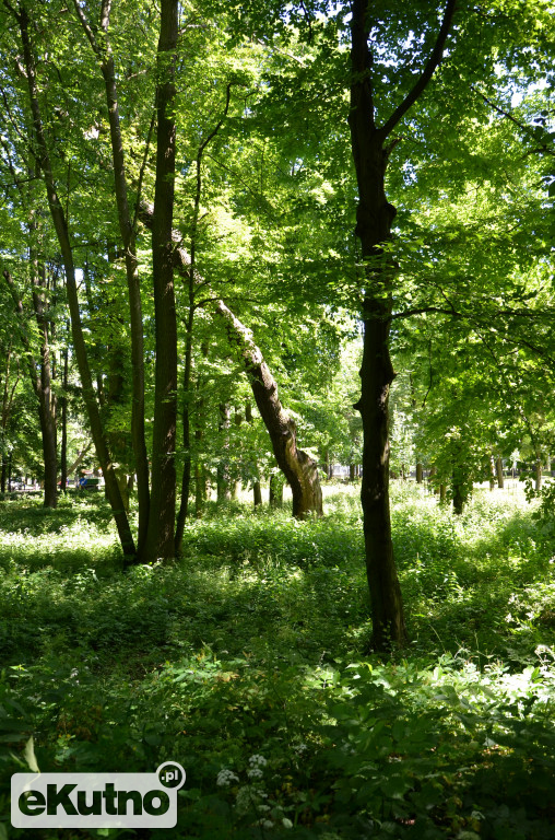 Porządki w Parku ?