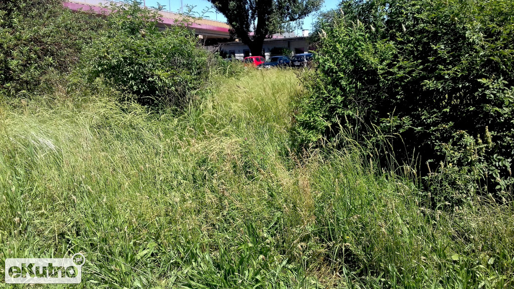 Chaszcze na peryferiach Kutna