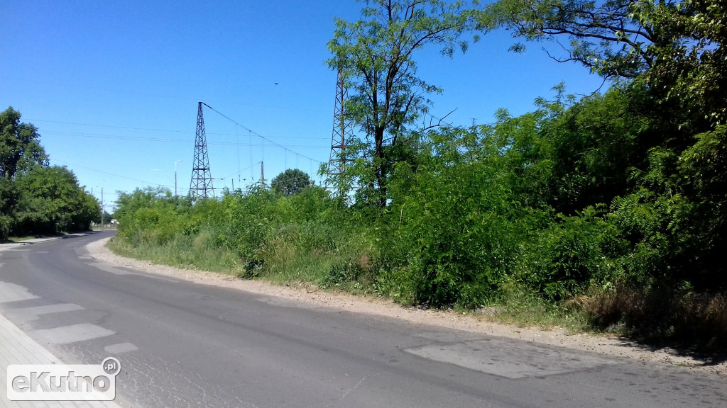 Chaszcze na peryferiach Kutna