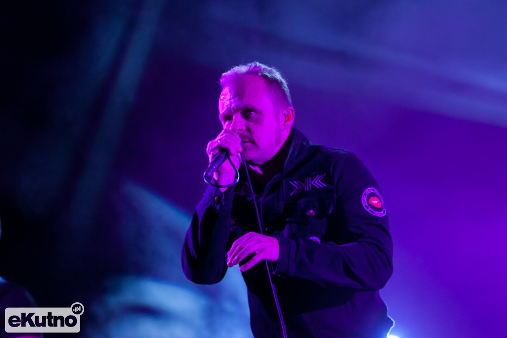 Coma wspaniałe zakończenie Święta Róży
