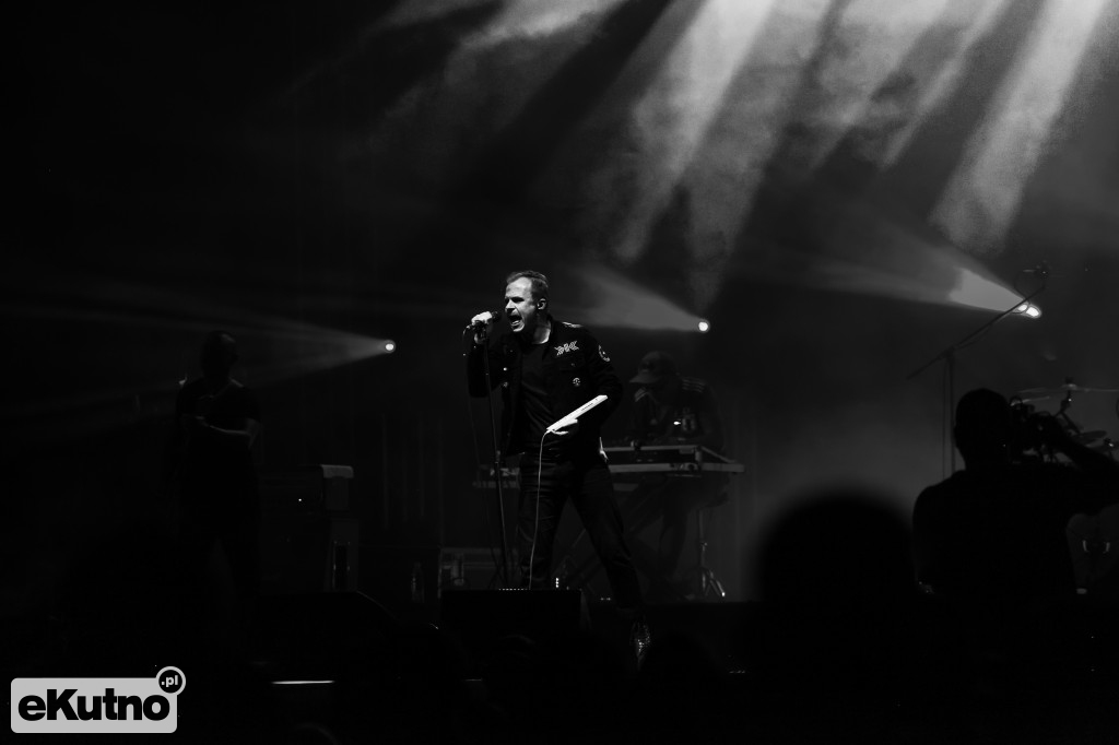 Coma wspaniałe zakończenie Święta Róży