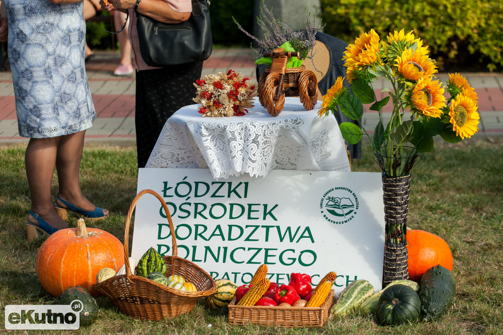 Dożynki w Krzyżanowie