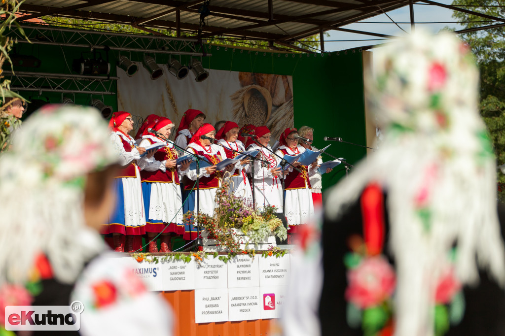 Dożynki w Krzyżanowie