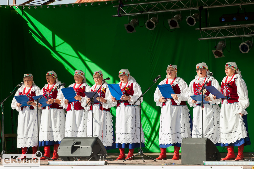 Dożynki w Krzyżanowie