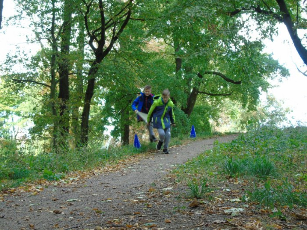 Sprawni dla Niepodległej