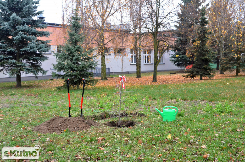  Dla Niepodległej