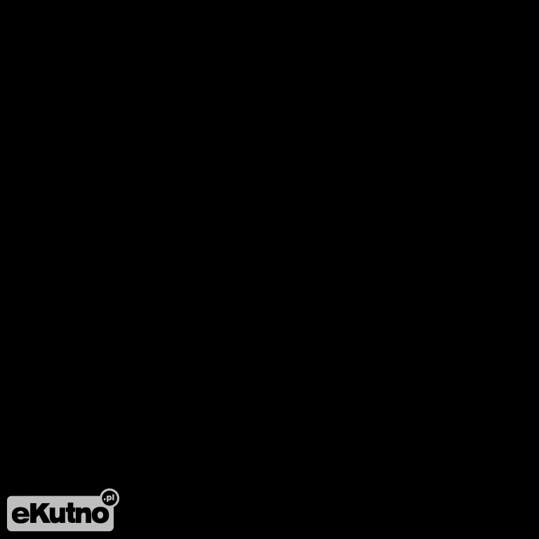 Roczna odprawa KPP Kutno
