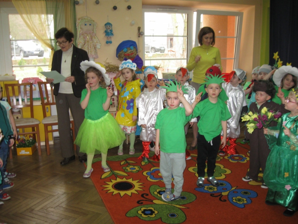 Wiosna w Stokrotce