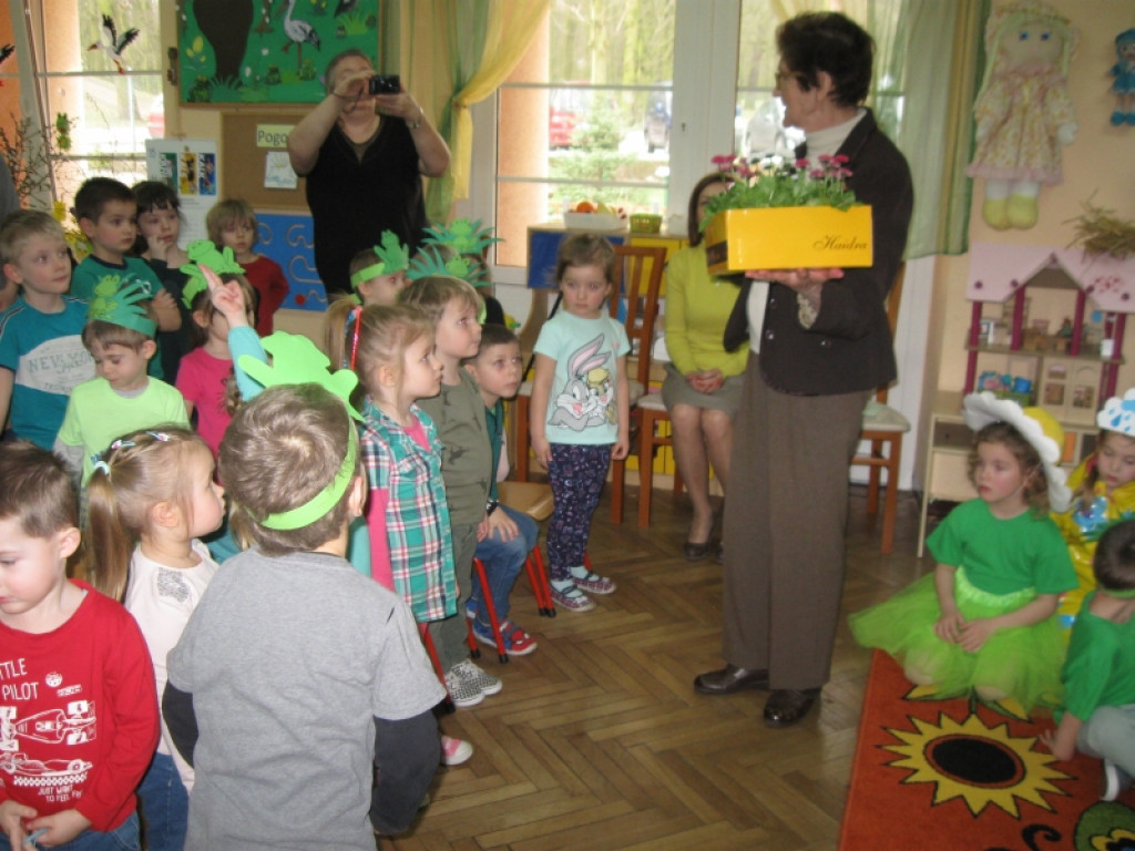 Wiosna w Stokrotce